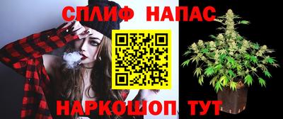 дурь Тара