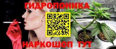гидра Тверь
