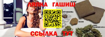 гидра Тверь