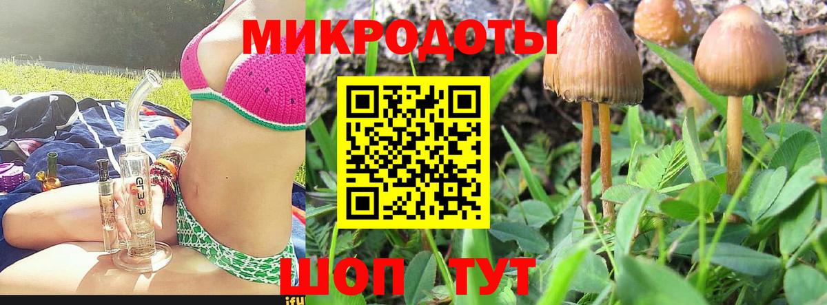 Псилоцибиновые грибы Cubensis Шатура