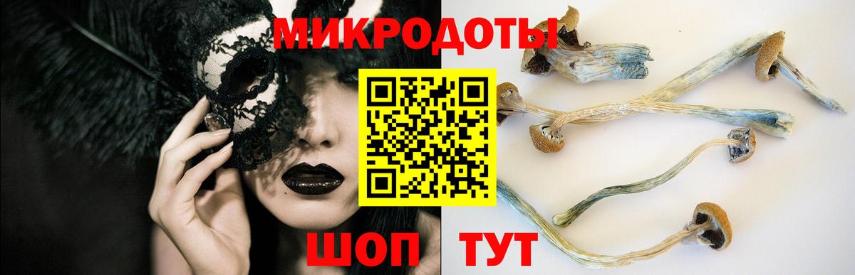 Псилоцибиновые грибы прущие грибы  Вход с VPN  Шатура 